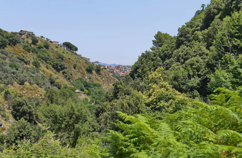 trekking-e-cascate-natura-calabria