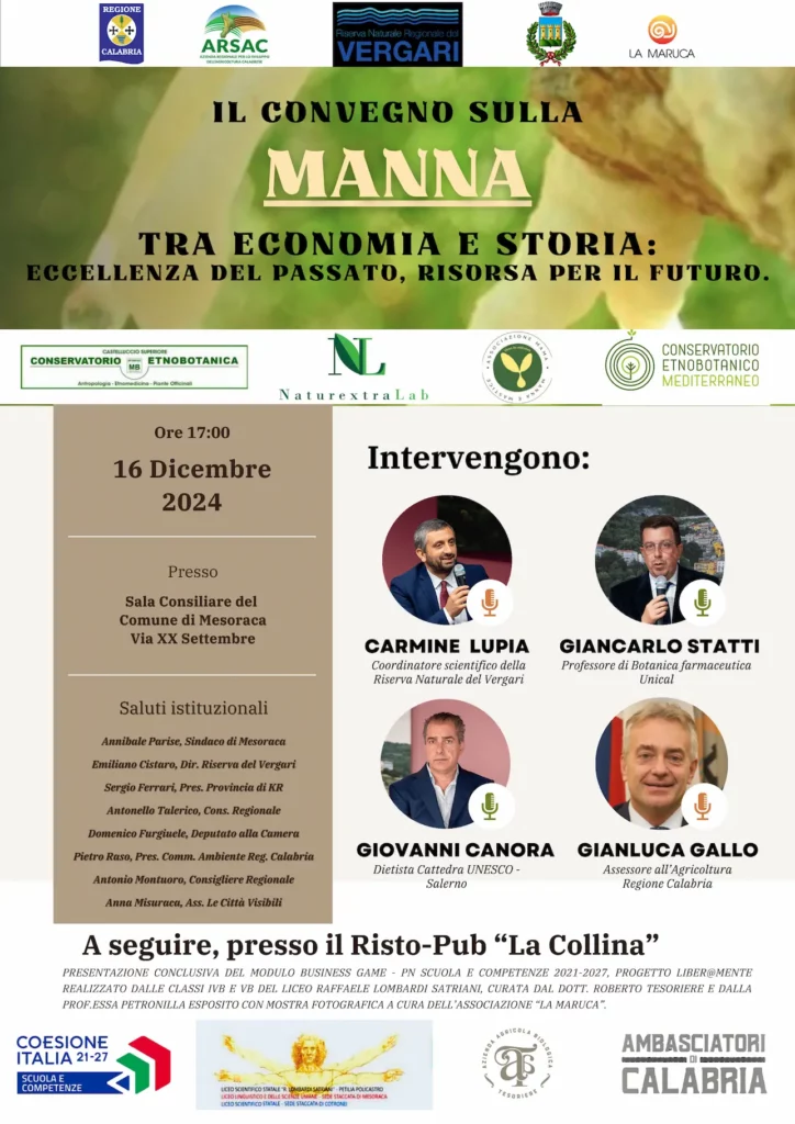 Convegno sulla manna a Mesoraca il 16 dicembre 2024